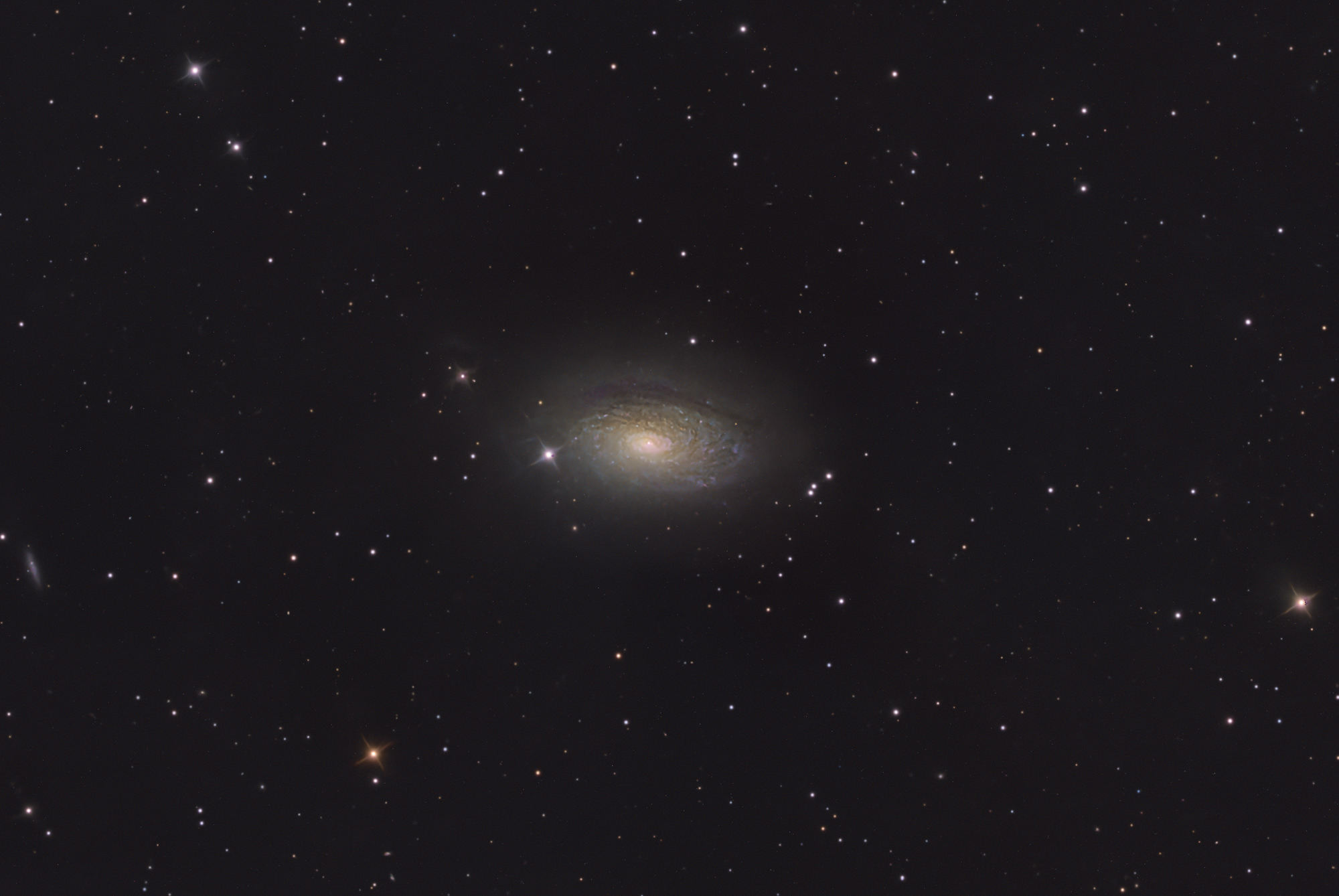 Die Sonnenblumen-Galaxie Messier 63 ist eine Spiralgalaxie  im Sternbild Jagdhunde am Nordsternhimmel und besitzt einen Durchmesser von ca. 50.000 Lichtjahren. Ungewöhnlich und namensgebend sind die vielen, gut sichtbaren, knötchenartigen Verdichtungen in ihren Spiralarmen. Es handelt sich dabei um Sternentstehungsgebiete und leuchtende Gaswolken.